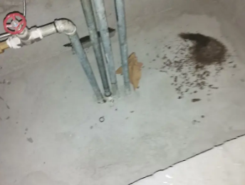 上海市卫生间测漏水价格明细