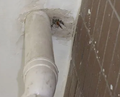 上海市漏水检测哪家好